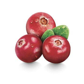 Cranberry-Frucht-Extrakt